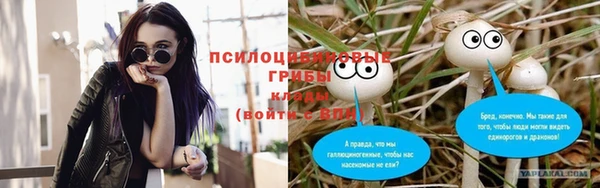 МДМА Дмитровск
