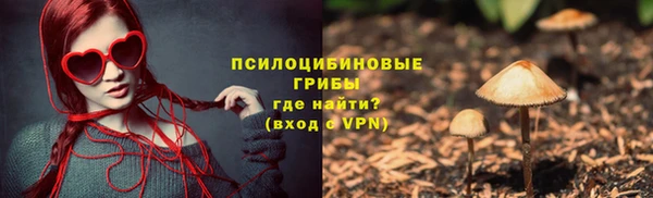 круглые Дмитриев