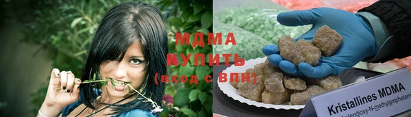 прущие грибы Дмитров