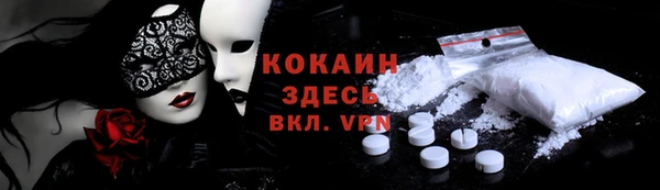 прущие грибы Дмитров