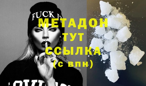 прущие грибы Дмитров