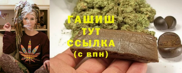 прущие грибы Дмитров