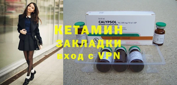 прущие грибы Дмитров