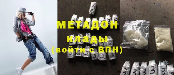 прущие грибы Дмитров