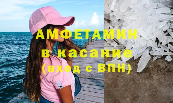 прущие грибы Дмитров