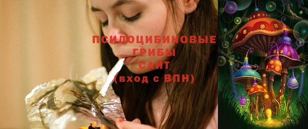 круглые Дмитриев