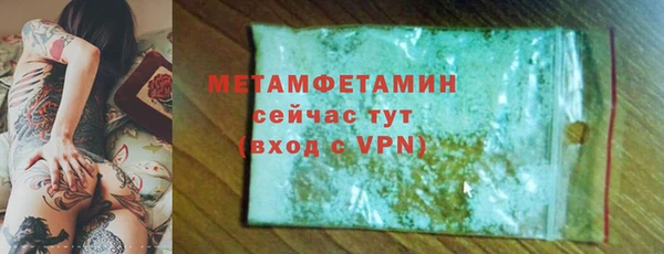 прущие грибы Дмитров